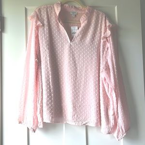 J.Crew soft pink clip dot blouse 3X